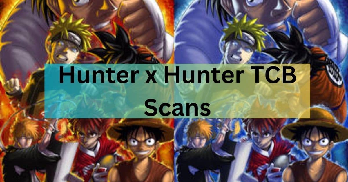 Hunter x Hunter TCB Scans