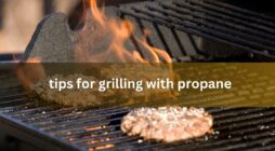 Tips for Grilling With Propane