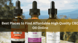 Best Places to Find Affordable High Quality CBD Oil Online