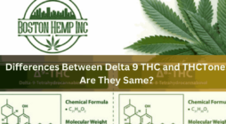 Differences Between Delta 9 THC and THCTone
