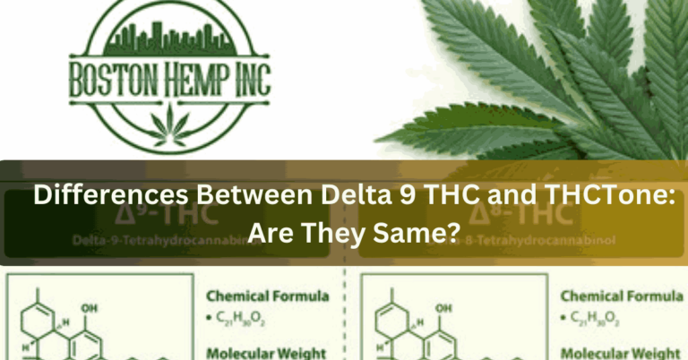 Differences Between Delta 9 THC and THCTone