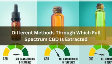 Different Methods Through Which Full Spectrum CBD Is Extracted