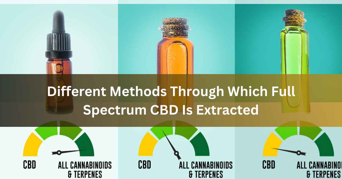 Different Methods Through Which Full Spectrum CBD Is Extracted